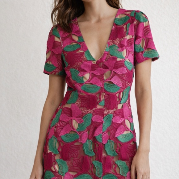 Milly Appliqué Lace Dress size 4 NWT - Picture 2 of 6